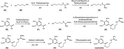 Natural products in drug discovery and development: Synthesis and medicinal perspective of leonurine